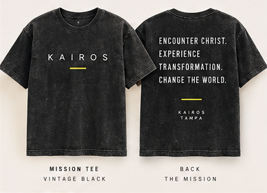 Mission Washed Tee preview
